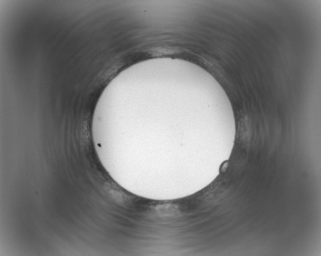 X0000064730426200603031646