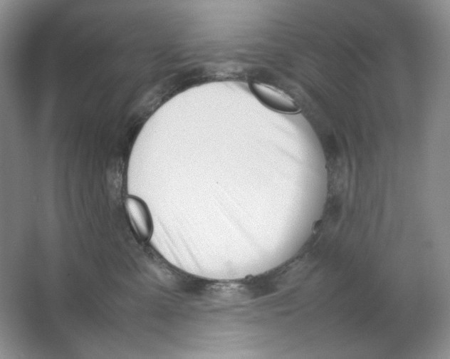 X0000064730427200603031646