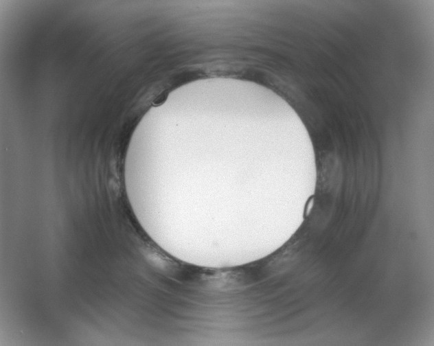 X0000064730430200603031646