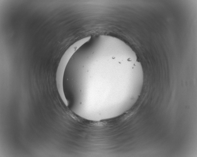 X0000064730432200603031646