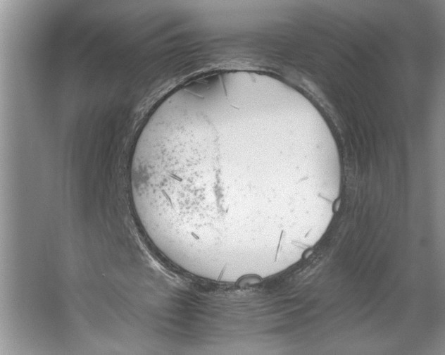 X0000064730433200603031645