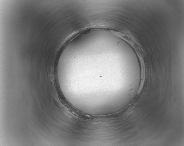 X0000064730434200603031645