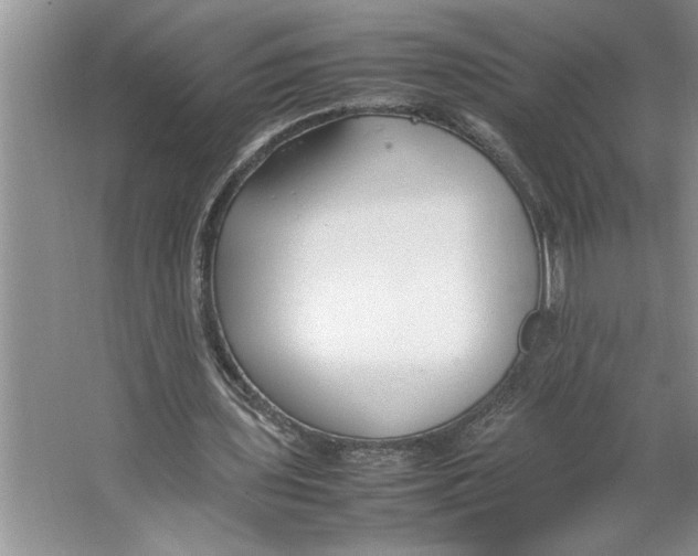 X0000064730435200603031645