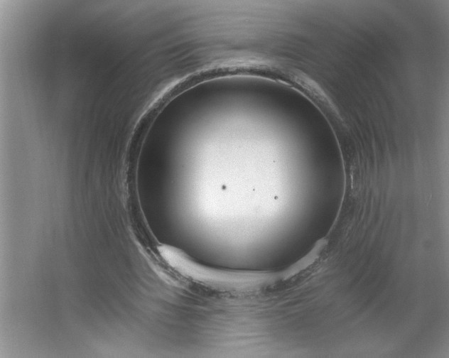 X0000064730436200603031645