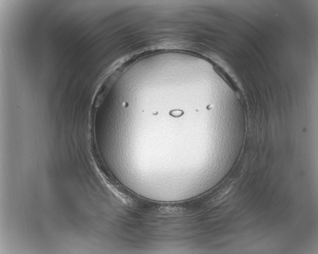 X0000064730437200603031645