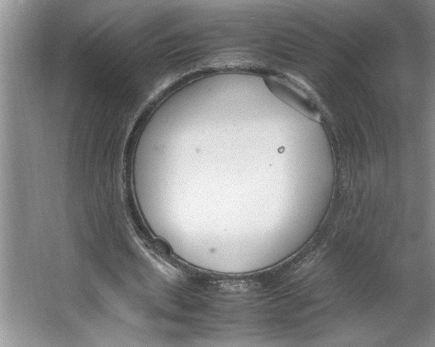 X0000064730439200603031646