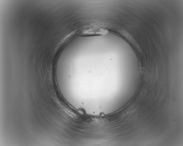 X0000064730442200603031646