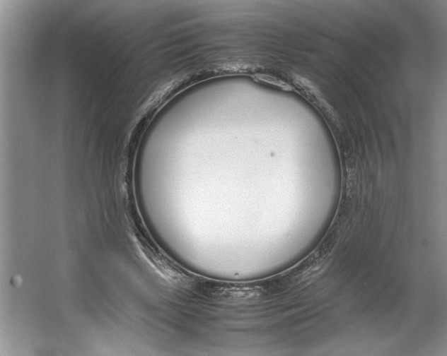 X0000064730443200603031646