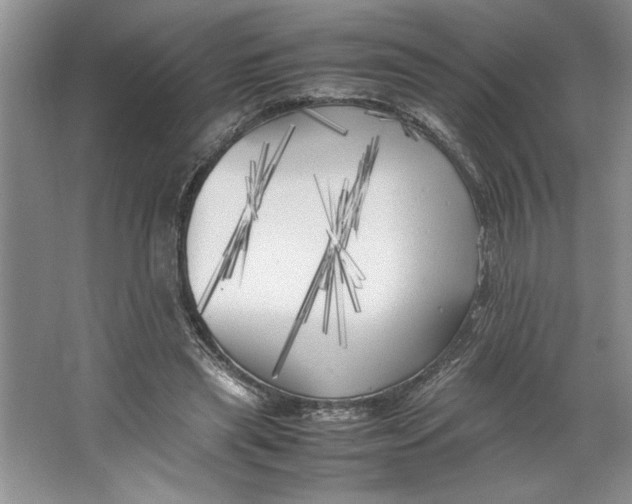 X0000064730445200603031646