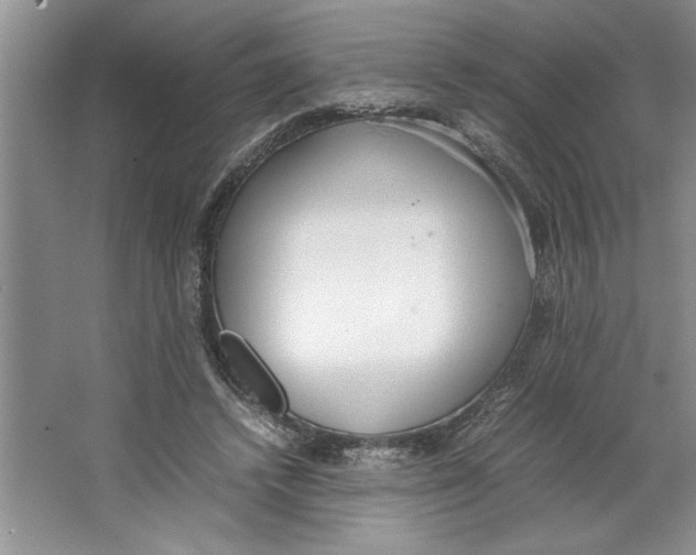 X0000064730448200603031646