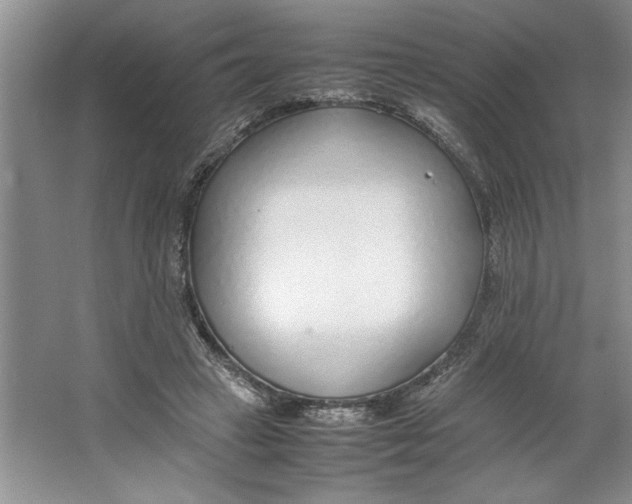 X0000064730449200603031646