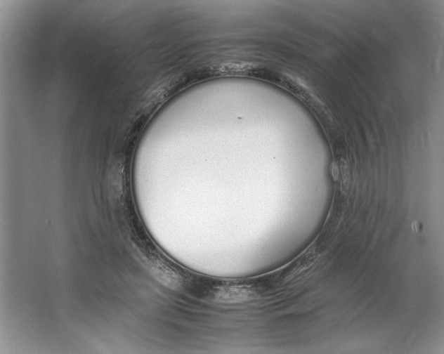 X0000064730451200603031646