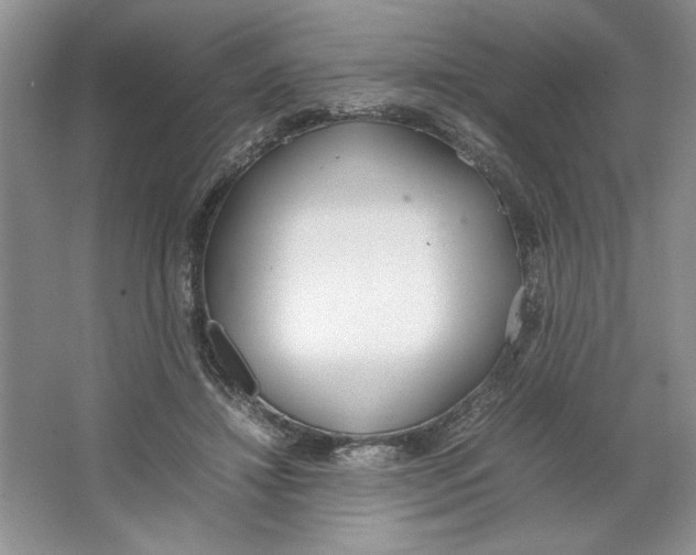 X0000064730452200603031646