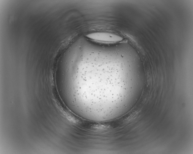 X0000064730453200603031646