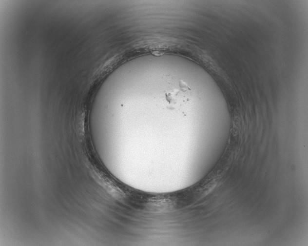 X0000064730454200603031646