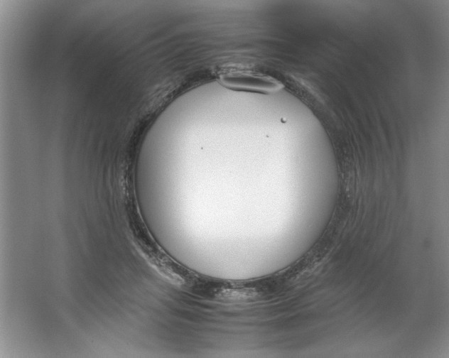 X0000064730455200603031646