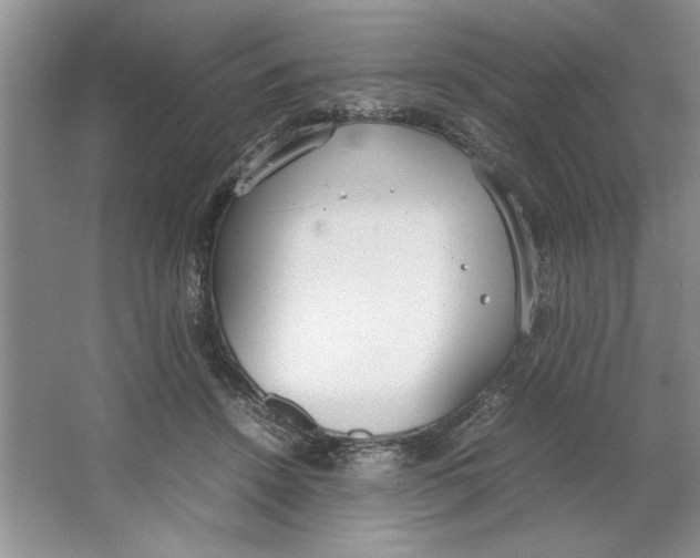 X0000064730456200603031646