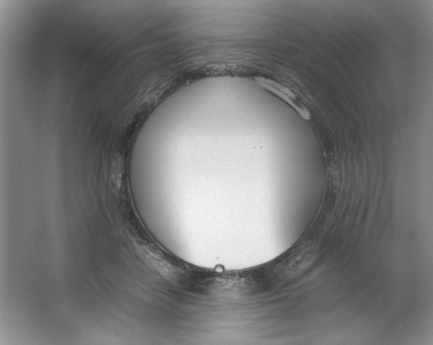 X0000064730458200603031646