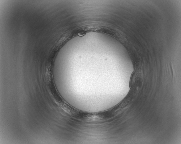 X0000064730460200603031646