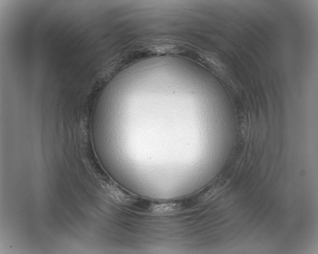 X0000064730461200603031646