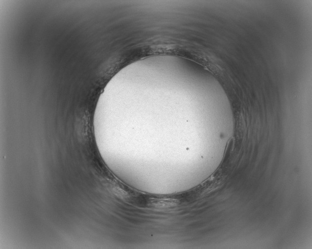 X0000064730463200603031646