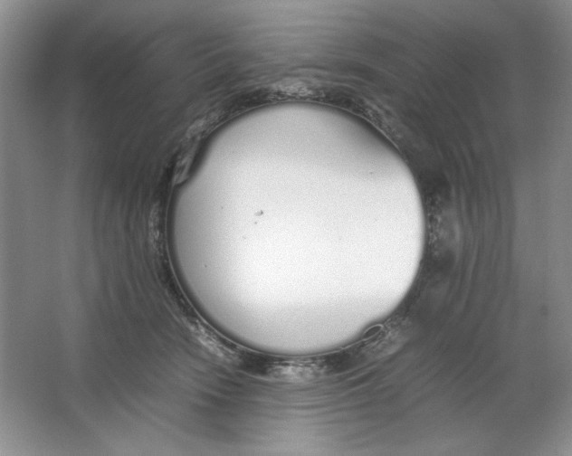 X0000064730466200603031646