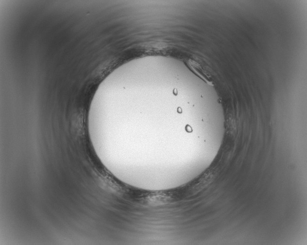 X0000064730468200603031646