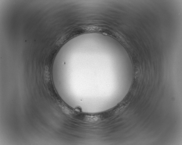 X0000064730469200603031646