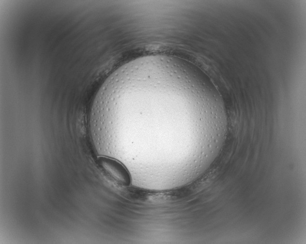 X0000064730470200603031646