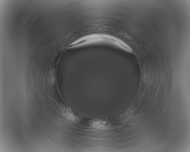 X0000064730471200603031646