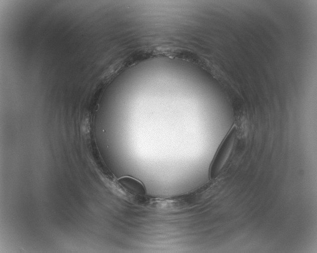 X0000064730472200603031646