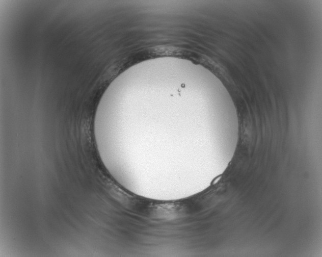 X0000064730473200603031646