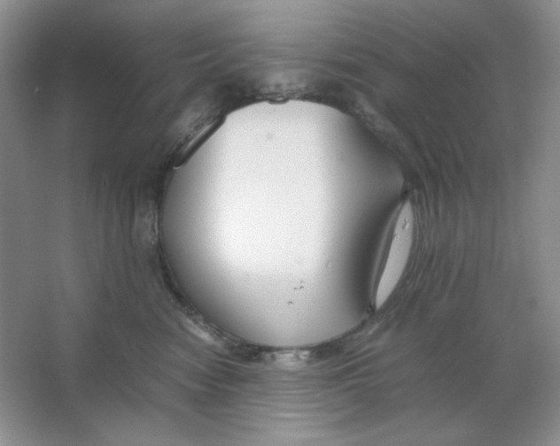 X0000064730474200603031646