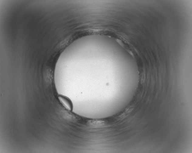 X0000064730476200603031646