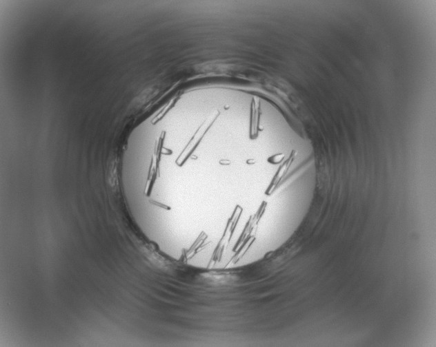 X0000064730477200603031646