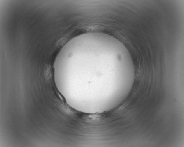 X0000064730478200603031646