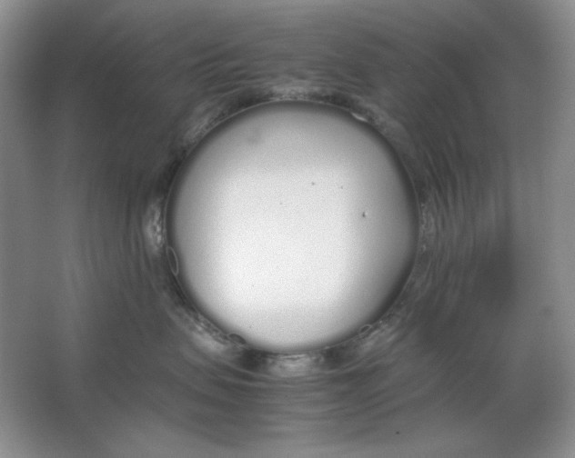 X0000064730479200603031646