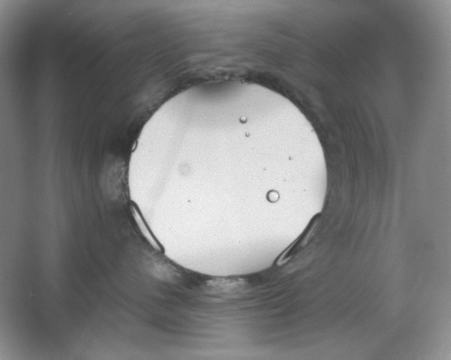 X0000064730480200603031646