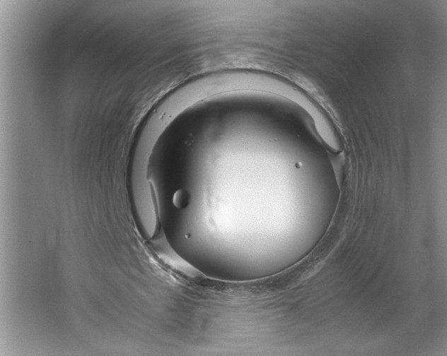 X0000064730481200603031645