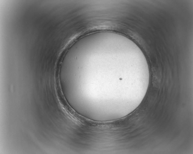 X0000064730482200603031645