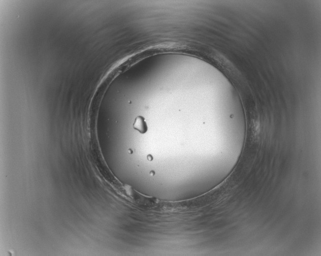 X0000064730484200603031645