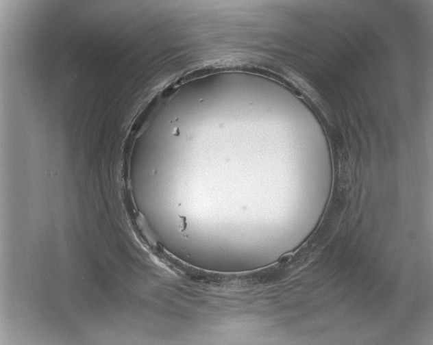 X0000064730485200603031645