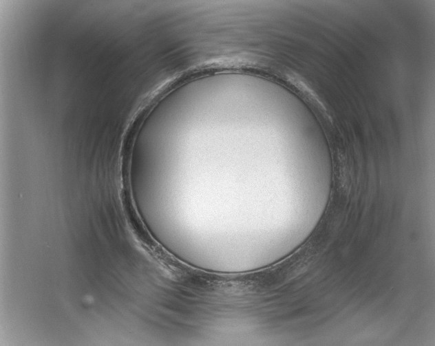 X0000064730486200603031645