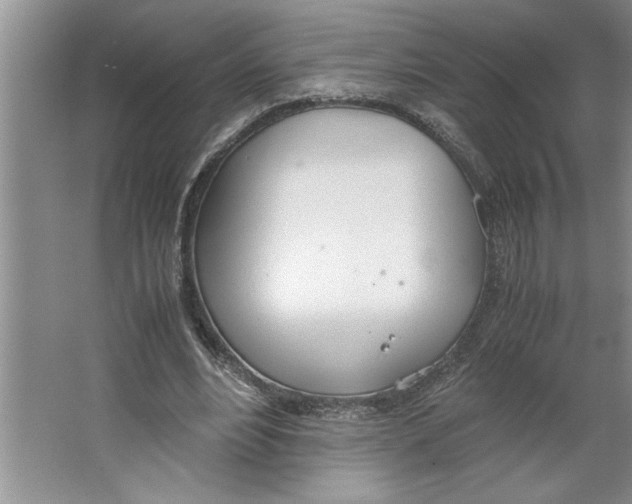 X0000064730488200603031645