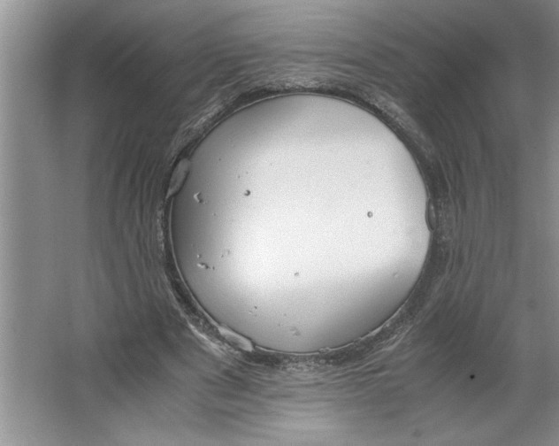 X0000064730489200603031645