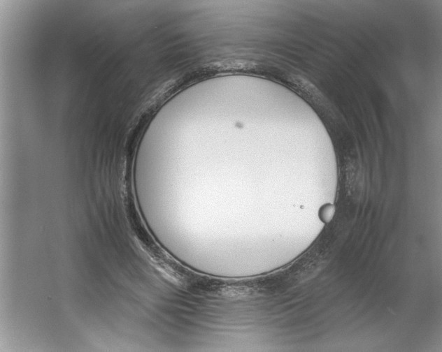 X0000064730490200603031645