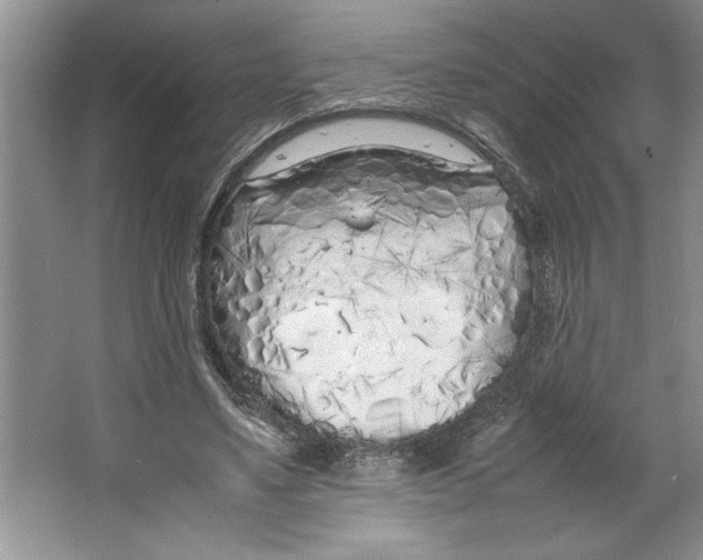 X0000064730491200603031645