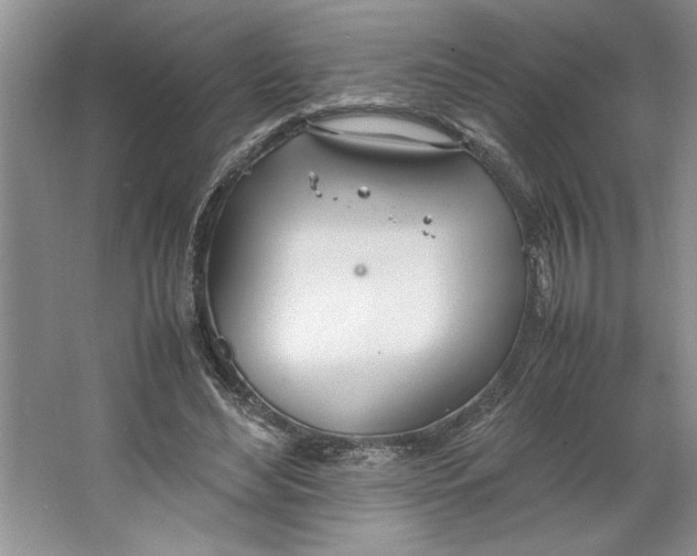 X0000064730492200603031645