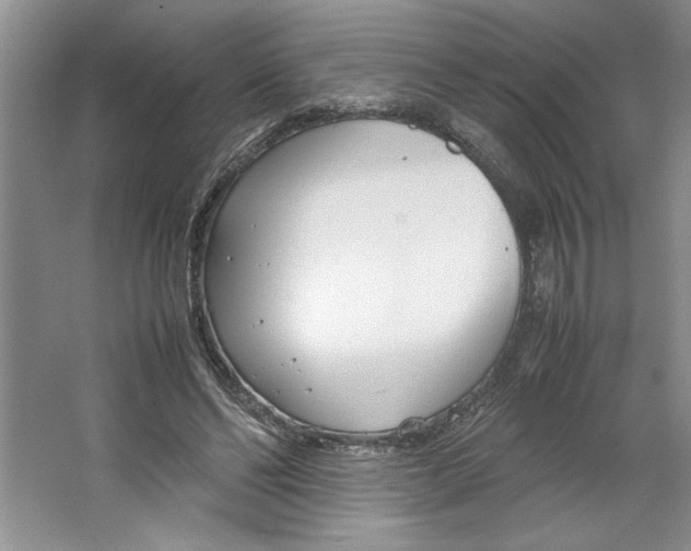 X0000064730494200603031645