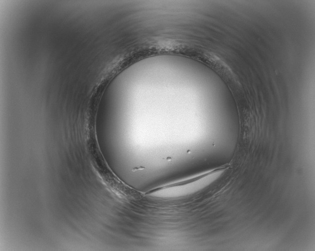 X0000064730496200603031645